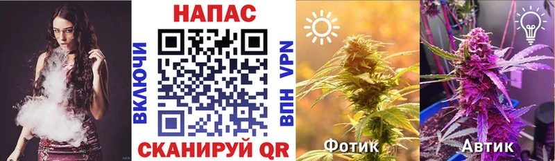 Купить закладку Псилоцибиновые грибы МДМА ГАШ Конопля Мефедрон Гулькевичи