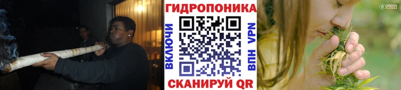 Шишки марихуана THC 21%  Купить закладки  Гулькевичи 